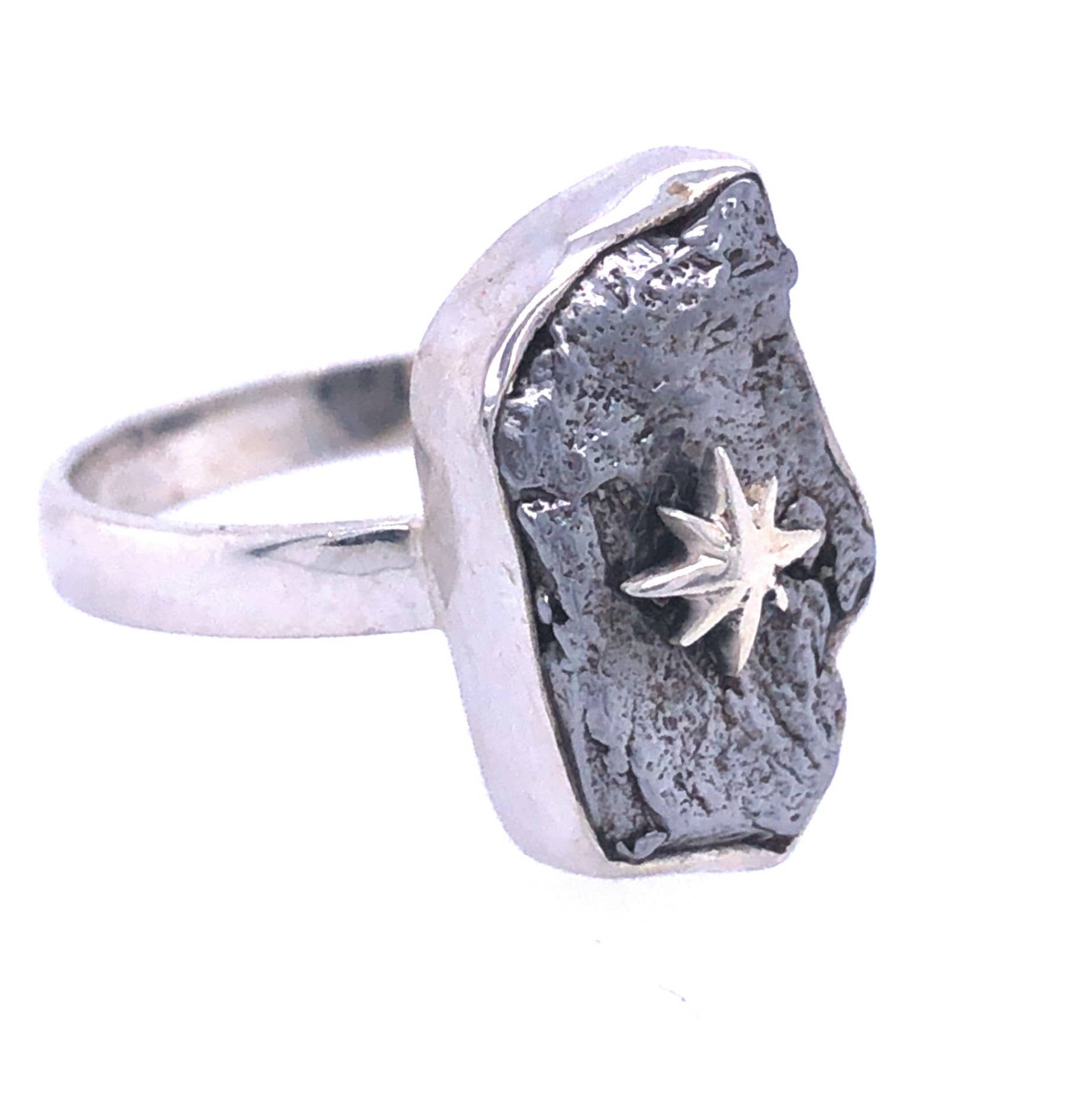 North Star Meteorite Tektite Ring