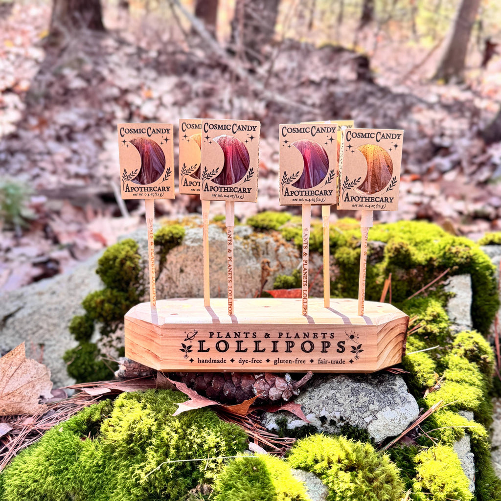 Plants & Planets Lollipops - Summer Collection Assortment