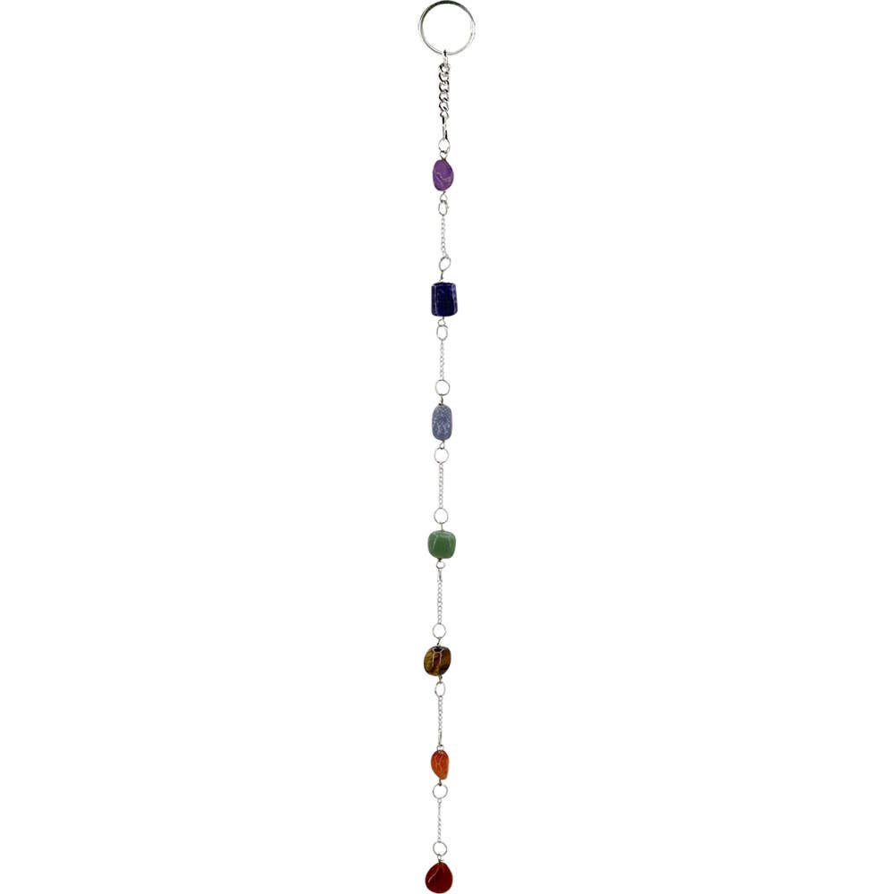Wall Hanging String Tumbled Rainbow Chakra Stone Crystals