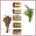 SOAP GIFT SET: Natural Soap Bar + Wood Dish